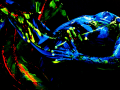 Body Painting 02