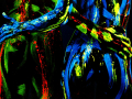 Body Painting 04