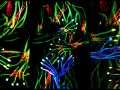 Body Painting 07