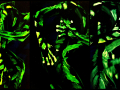 Body Painting 11