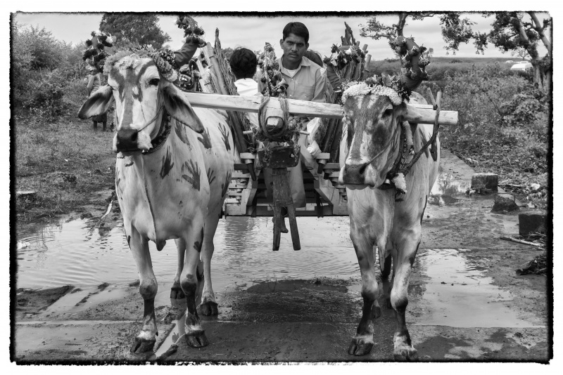 Indien © Georgios Kefalas