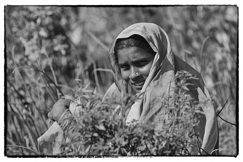 Indien © Georgios Kefalas