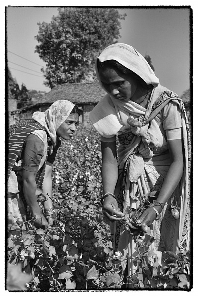 Indien © Georgios Kefalas