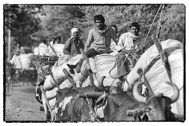 Indien © Georgios Kefalas