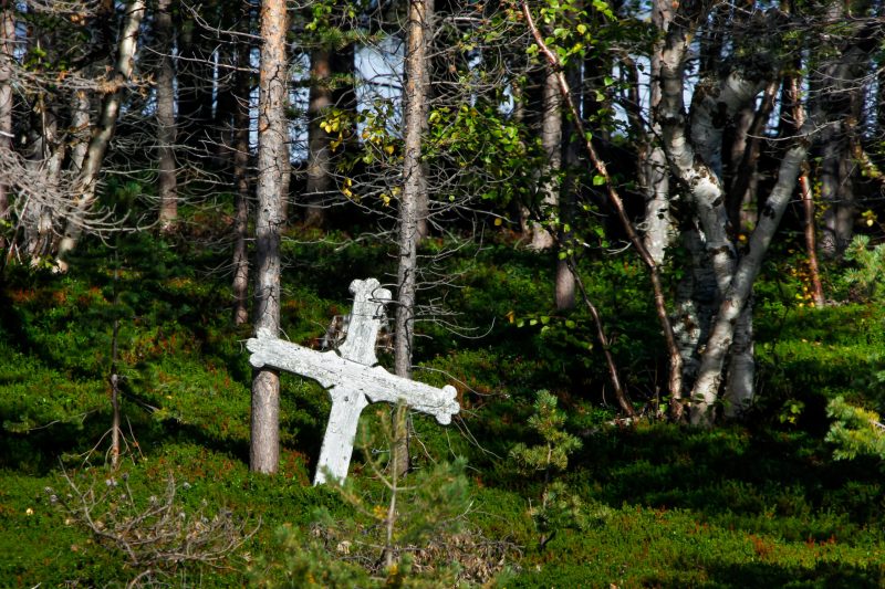 Ausflug mit der M/S Inari zur Insel Ukonkivi auf dem Inari-See in Inari, Lappland, Finnland, 27. August 2010. (Foto: Georgios Kefalas)