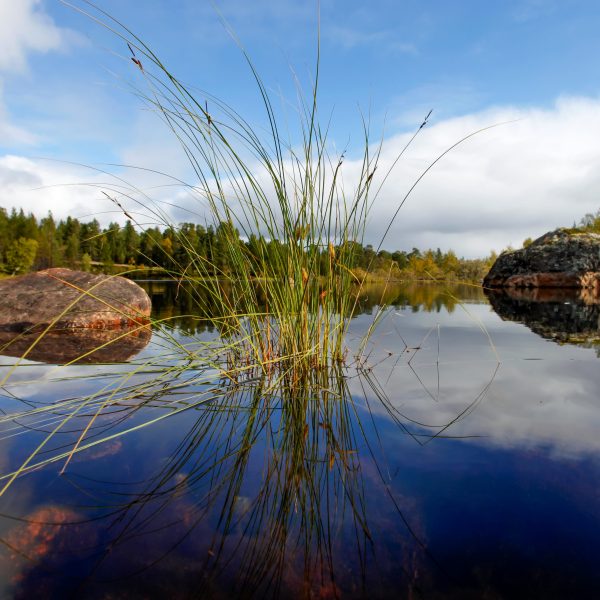 Siida Museum in Inari, Lappland, Finnland, 27. August 2010. (Foto: Georgios Kefalas)