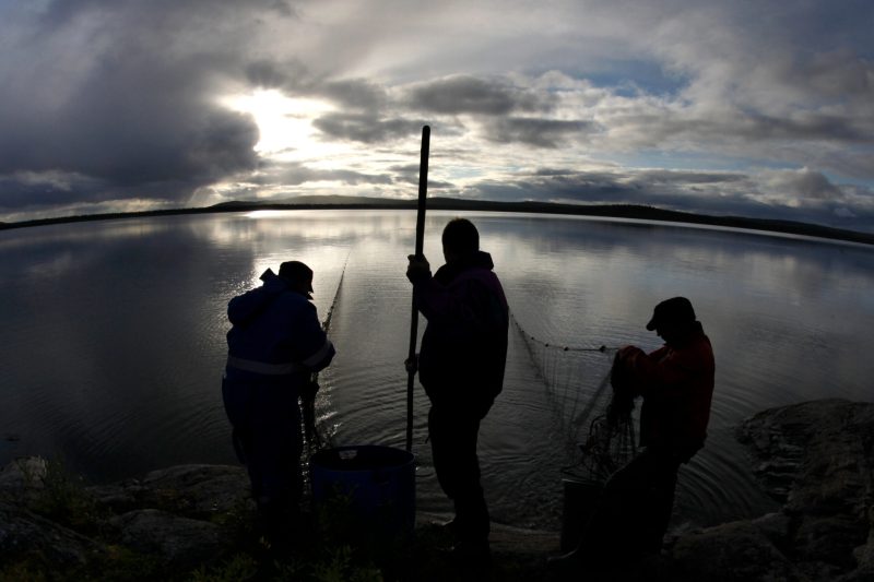 Fischen mit dem Schleppnetz mit Matti Helminen, dem Ehemann von Tuula Airamo, begleitet von seinem Schwager Martti Airamo, auf dem Muddus-See in Tulvalahti, Lappland, Finnland, 27. August 2010. (Foto: Georgios Kefalas)