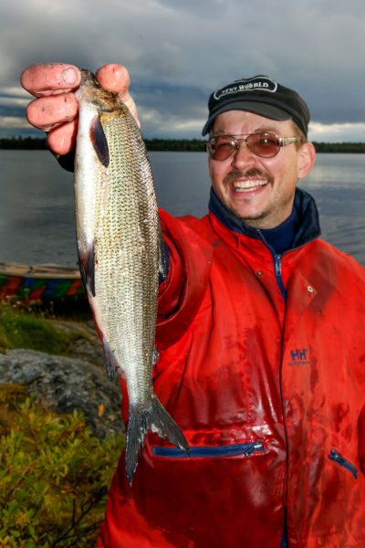 Fischen mit dem Schleppnetz mit Matti Helminen, dem Ehemann von Tuula Airamo, begleitet von seinem Schwager Martti Airamo, auf dem Muddus-See in Tulvalahti, Lappland, Finnland, 27. August 2010. (Foto: Georgios Kefalas)