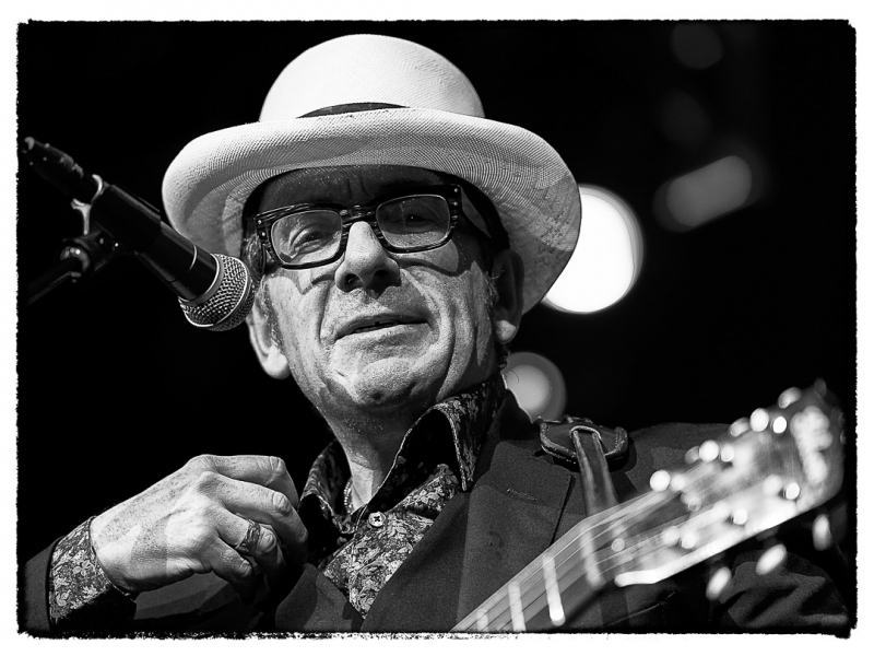 Elvis Costello